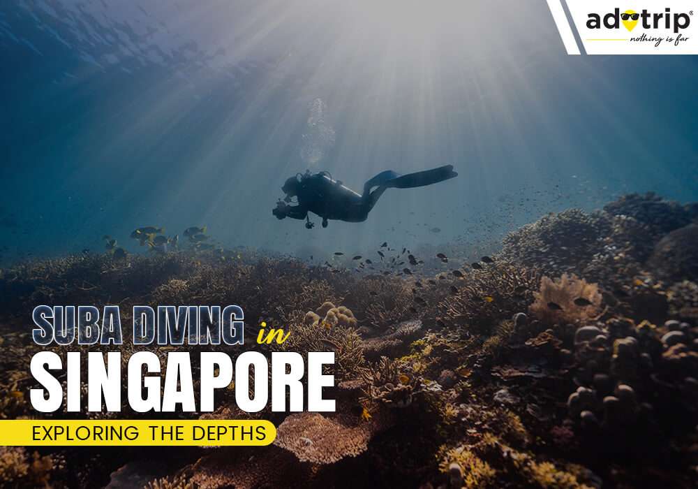 Scuba Diving in Singapore